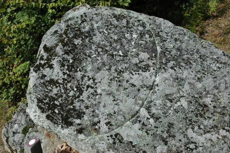 Les habitants préhistoriques de Falera, designers visionnaires (1)