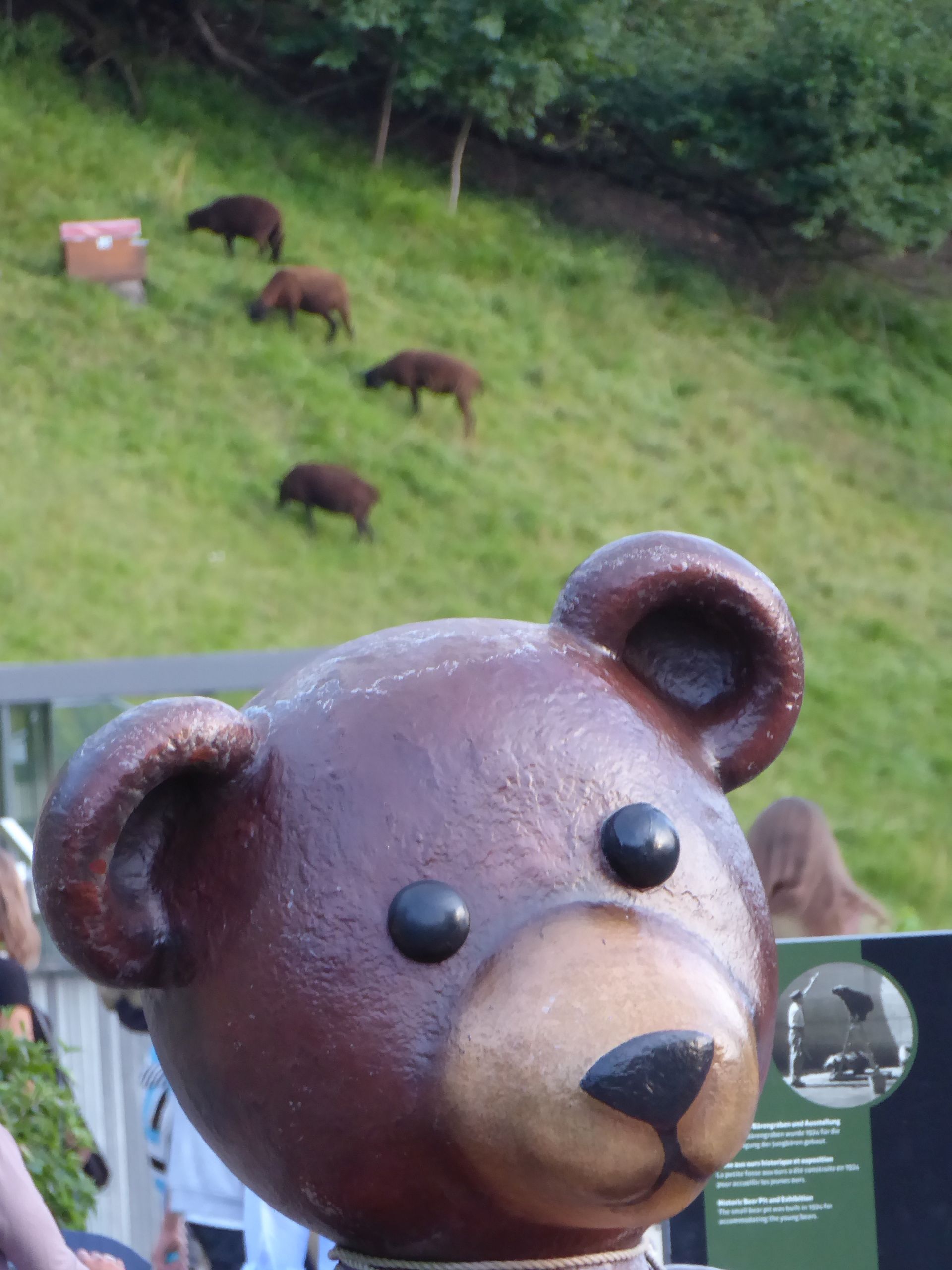 Le Parc des Ours de Berne: nouvelles hypothèses sur la fondation de la ville de Berne ? Le Parc des Ours de Berne: nouvelles hypothèses sur la fondation de la ville de Berne ?